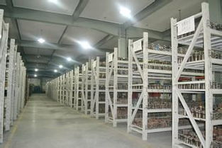 灵活仓储新选择 上海小仓库30平起租，短租临时仓储服务全解析